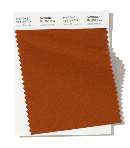 Pantone-Fashion-Color-Trend-Report-New-York-Autumn-Winter-2019-2020-Swatch-Sugar-Almond