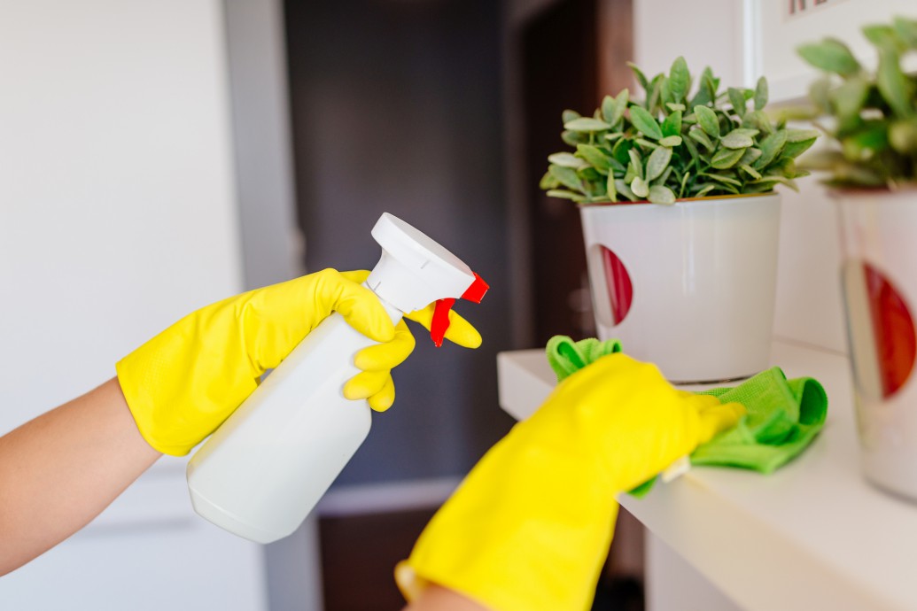 Domy ekologiczne pod każdym względem – zasady bezpiecznego sprzątania