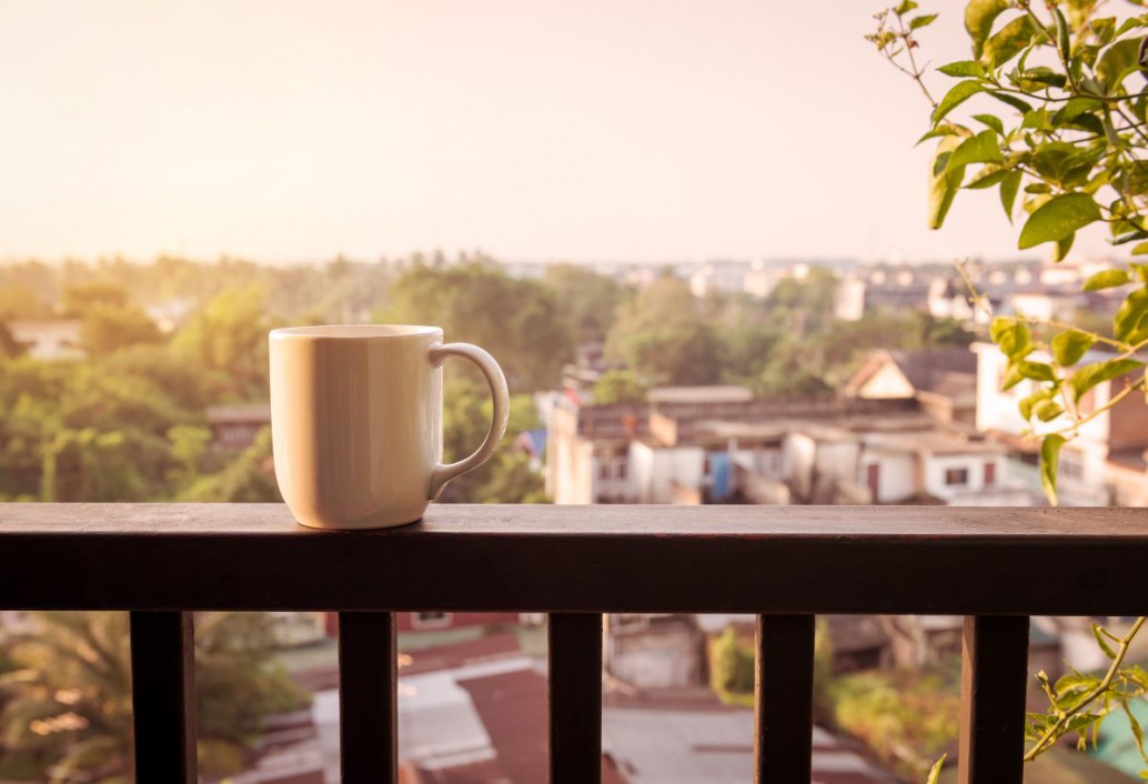 Balkon jesienią i zimą: jakie wybrać rośliny, aby przetrwały niskie temperatury?