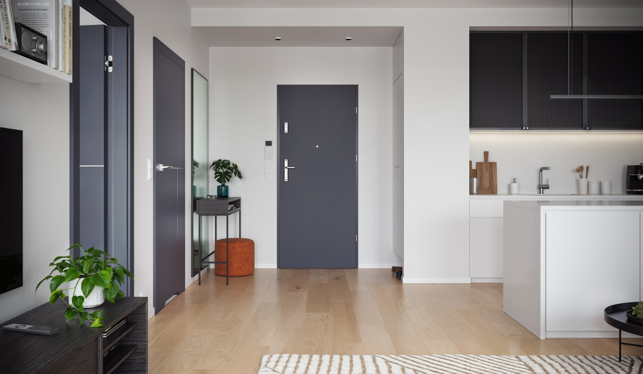 OPAL, Pełne, Okleina Lakierowana Matt, Grafitowy Matt, Ośc. Stalowa KD, Farba Poliestrowa Premium, Antracyt, Wizjer, Klamka OPAL, Srebrna