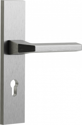 /upl/2026/0910/0928-klamka-wejsciowa_gardo_72mm_inox.png